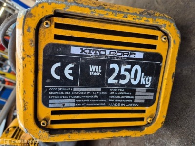 2009 Kito Corp 250kg 2m Electric Chain Hoist - 2