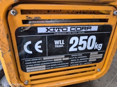 2021 Kito Corp 250kg 3m Electric Chain Hoist - 2