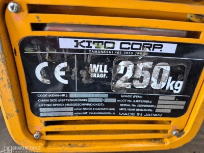2020 Kito Corp 250kg 3M Electric Chain Hoist - 3