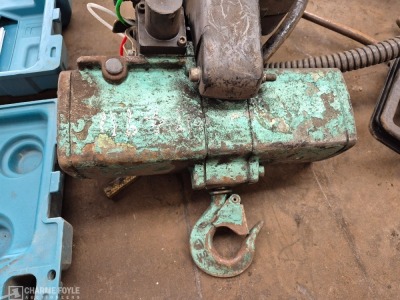 2000 JDN Profi 0.25 TS 250kg Electric Chain Hoist - 4