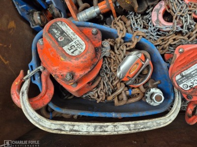 Qty 2t, 1.5t & 1t Chain Hoists and Grider Skates, Lifting Eyes, c/w Steel Stillage - 5