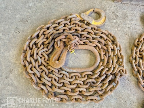 12.5T Single Leg 20mm 8m Lifting Chain c/w Clutch