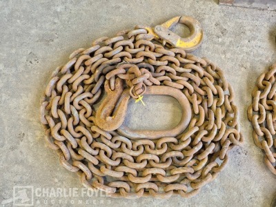 12.5T Single Leg 20mm 8m Lifting Chain c/w Clutch