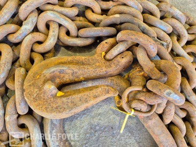 12.5T Single Leg 20mm 8m Lifting Chain c/w Clutch - 2