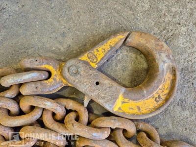12.5T Single Leg 20mm 8m Lifting Chain c/w Clutch - 3