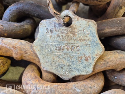 12.5T Single Leg 20mm 8m Lifting Chain c/w Clutch - 4