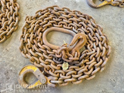 12.5T Single Leg 20mm 8m Lifting Chain c/w Clutch - 6
