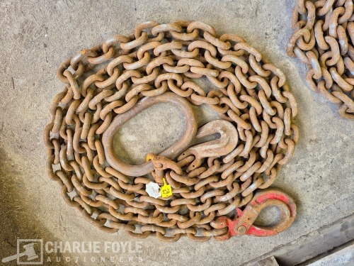 12.5T Single Leg 20mm 8m Lifting Chain c/w Clutch