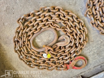 12.5T Single Leg 20mm 8m Lifting Chain c/w Clutch