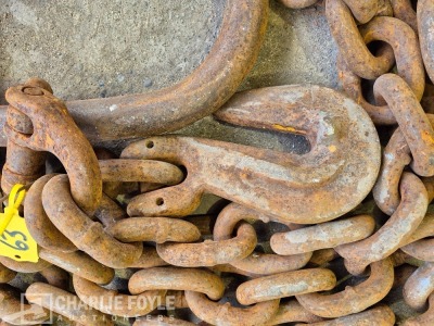 12.5T Single Leg 20mm 8m Lifting Chain c/w Clutch - 2
