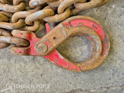 12.5T Single Leg 20mm 8m Lifting Chain c/w Clutch - 3