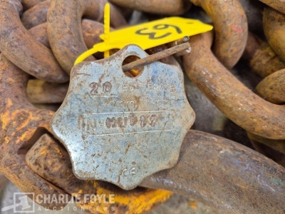 12.5T Single Leg 20mm 8m Lifting Chain c/w Clutch - 5