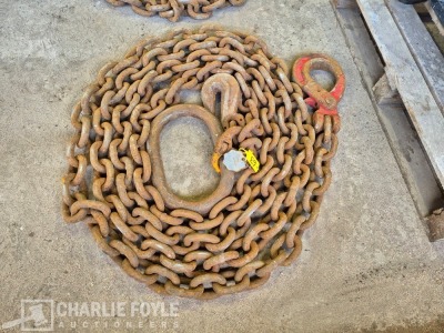 12.5T Single Leg 20mm 8m Lifting Chain c/w Clutch - 6