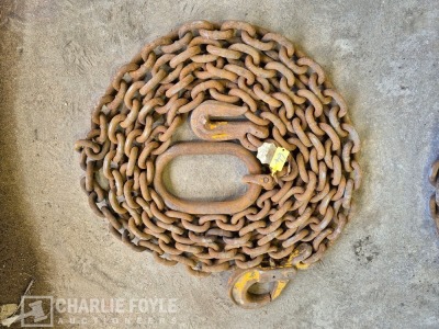 12.5T Single Leg 20mm 8m Lifting Chain c/w Clutch