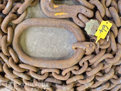 12.5T Single Leg 20mm 8m Lifting Chain c/w Clutch - 3