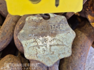 12.5T Single Leg 20mm 8m Lifting Chain c/w Clutch - 4