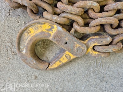 12.5T Single Leg 20mm 8m Lifting Chain c/w Clutch - 6