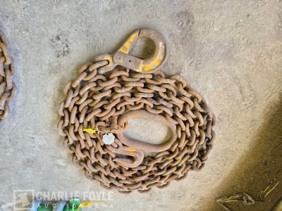 12.5T Single Leg 20mm 8m Lifting Chain c/w Clutch - 7