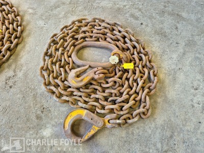 12.5T Single Leg 20mm 8m Lifting Chain c/w Clutch