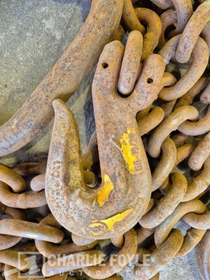 12.5T Single Leg 20mm 8m Lifting Chain c/w Clutch - 2