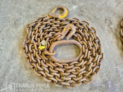 12.5T Single Leg 20mm 8m Lifting Chain c/w Clutch - 3