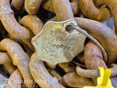12.5T Single Leg 20mm 8m Lifting Chain c/w Clutch - 4