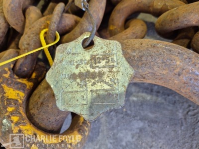 12.5T Single Leg 20mm 8m Lifting Chain c/w Clutch - 5