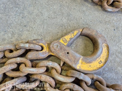 12.5T Single Leg 20mm 8m Lifting Chain c/w Clutch - 6