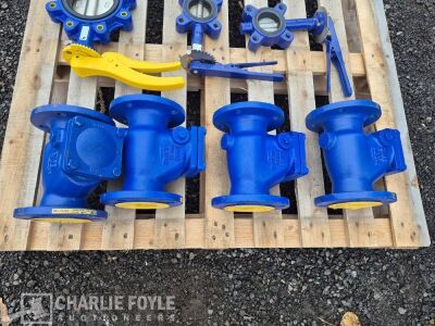 4x Unused Zetkama Check Valves & 5x Misc Shut off Valves - 7