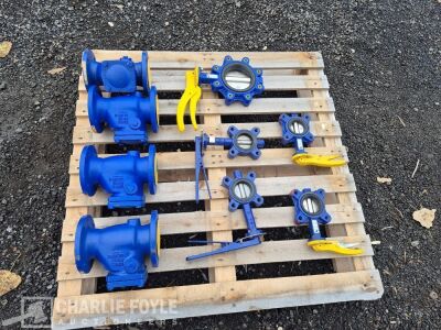 4x Unused Zetkama Check Valves & 5x Misc Shut off Valves - 9